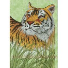 Tiger Machine Embroidery Designs size 148*219mm