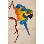 Parrot_brd0002