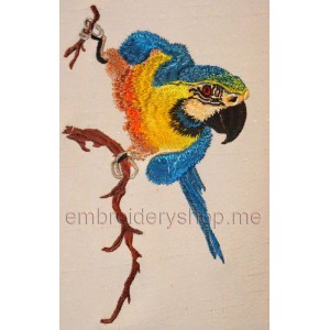 Parrot Machine Embroidery Designs size 121*182mm