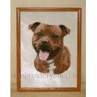 Staffordshire bull terrier_dog0012