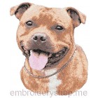 Staffordshire bull terrier_dog0012