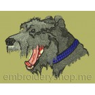 Terrier_dog0007
