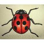 Ladybird_int0001