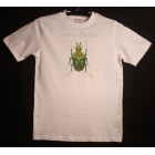 Beetle Machine Embroidery Designs 136*177mm