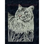 White Tiger_tgr0005