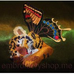 Tiger cub_tgr0015