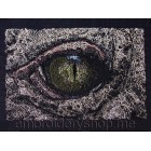 Eye_anm0006