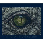 Eye_anm0006