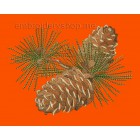 Cones Machine Embroidery Designs size 160*121mm