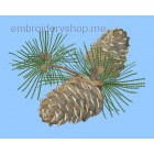 Cones_Lvs0005