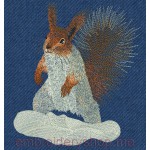 Squirrel_anm0010