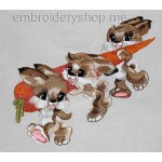 Little hares_anm0015