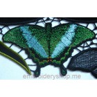 Summer garden_cut0027