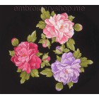 Peony_flw0029