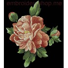 Peony_flw0029