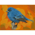 Bird_brd0014