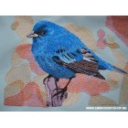 Bird_brd0014