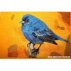 Bird_brd0014