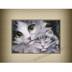 Mummy_cat0012