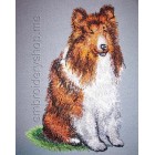 Сollie_dog0016