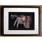 Walrus_anm0017
