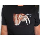 Walrus_anm0017