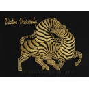 Zebras_anm0018