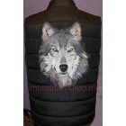 Wolf_wlf0006