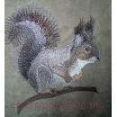 Squirrel_anm0019