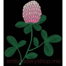 Flower_flw0048