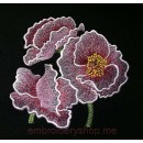 Flowers_flw0054