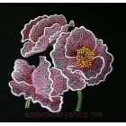 Flowers_flw0054