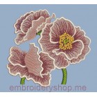 Flowers_flw0054