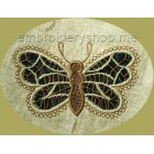 Butterflies_cut0018
