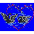 Swans brd0018