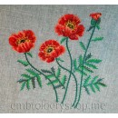 Poppies flw0059