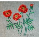 Poppies flw0059
