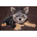 Yorkshire Terrier dog0017