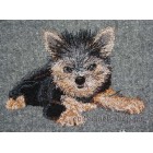 Yorkshire Terrier dog0017