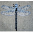 Dragonfly int0007