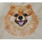 Dog  Pomeranian Machine Embroidery Designs size 277*273mm