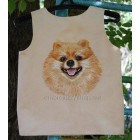 Pomeranian dog0018
