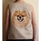 Pomeranian dog0018