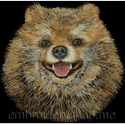 Pomeranian dog0018