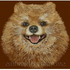Pomeranian dog0018