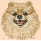 Pomeranian dog0018