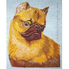 Griffon dog0019