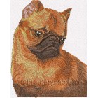 Griffon dog0019
