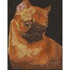 Griffon dog0019