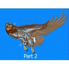 Eagle brd0021